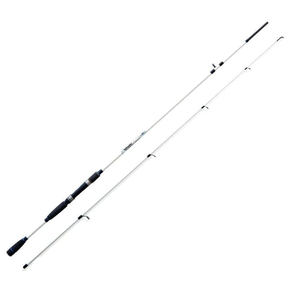 Lineaeffe Saltwater Spın 2.10Mt 40gr Spınnıng Kamışı