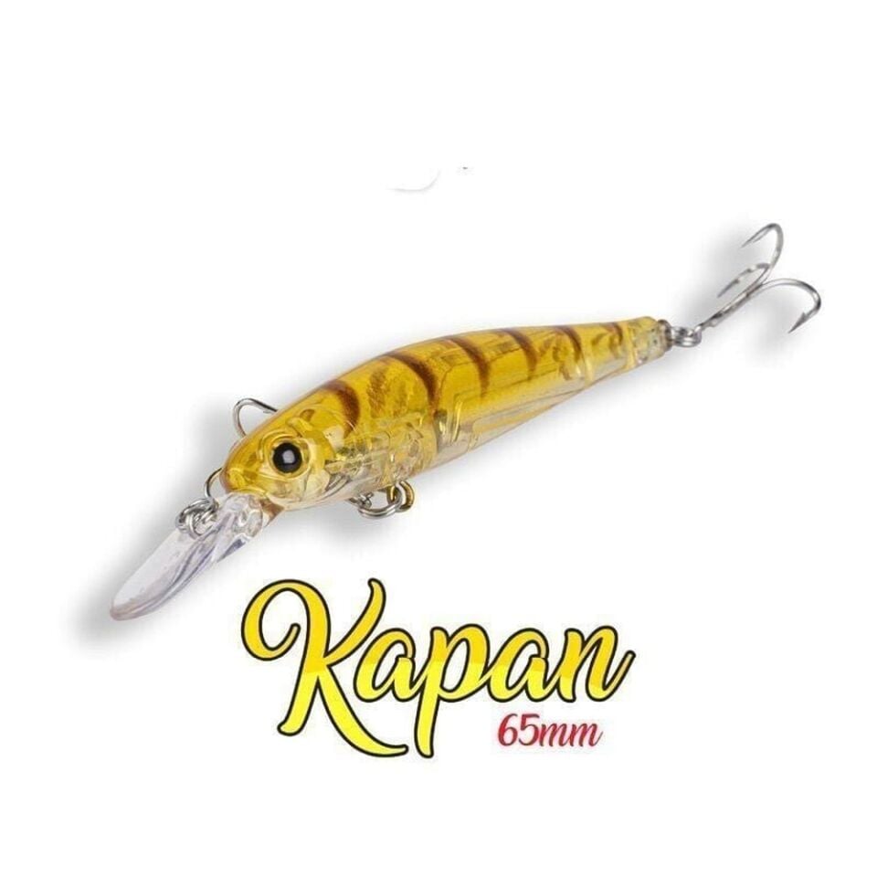 Hanfish Kapan 65mm Lrf Maket Balık