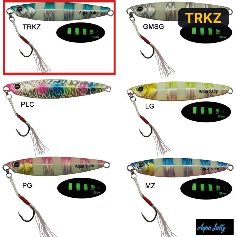 Aqua Salty Multi Jig 35gr TRKZ