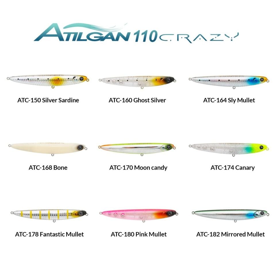 Hanfish Atılgan Crazy 11 cm 14 gr Su Üstü Maket Balık