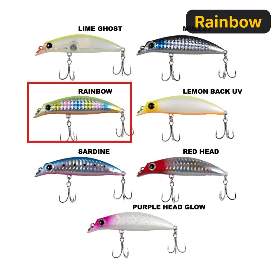 Ryuji Sasume 7.5cm 8gr Maket Balık Rainbow