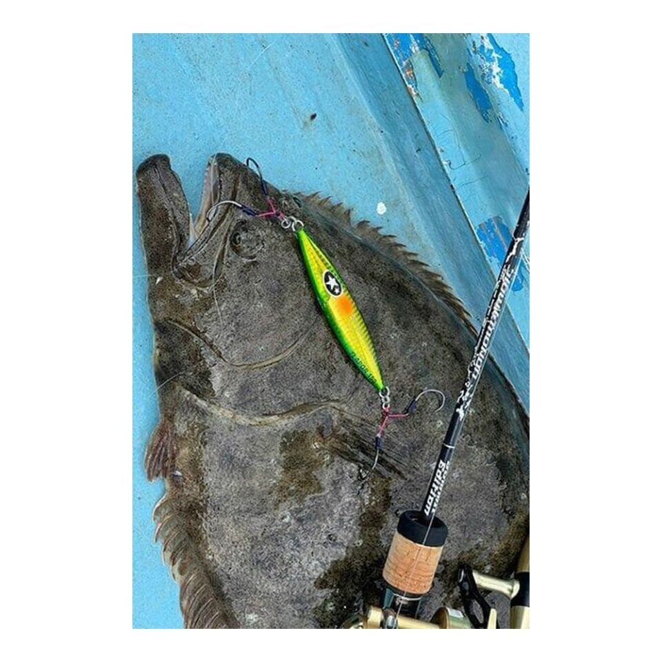 Xesta Slow Emotion Flap QR 150G Metal Jig Yem ZLO
