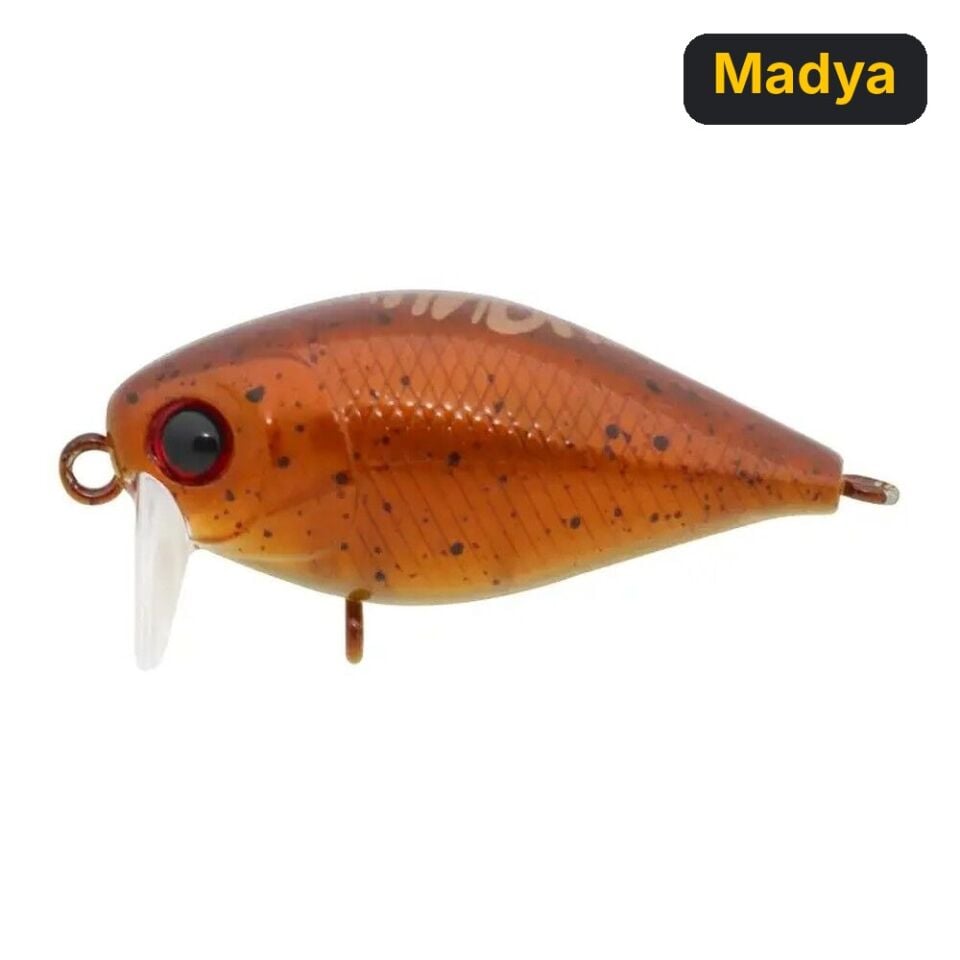 Hanfish Kunduz KG 3.8 Cm 4 Gr Maket Yem Madya