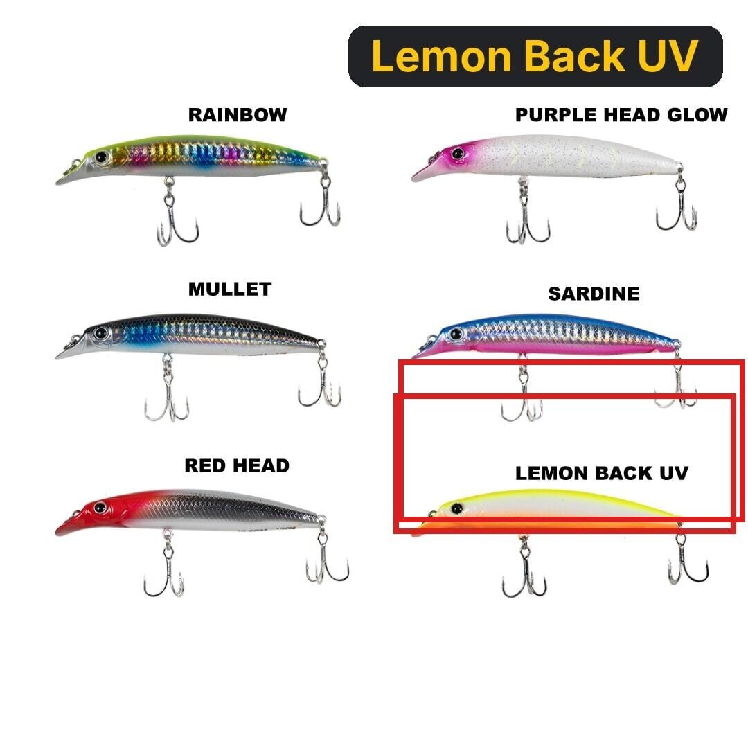 Ryuji Sasume 10.5cm 13gr Maket Balık Lemon Back UV