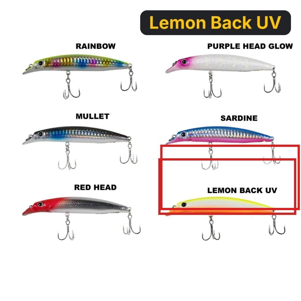 Ryuji Sasume 10.5cm 13gr Maket Balık Lemon Back UV