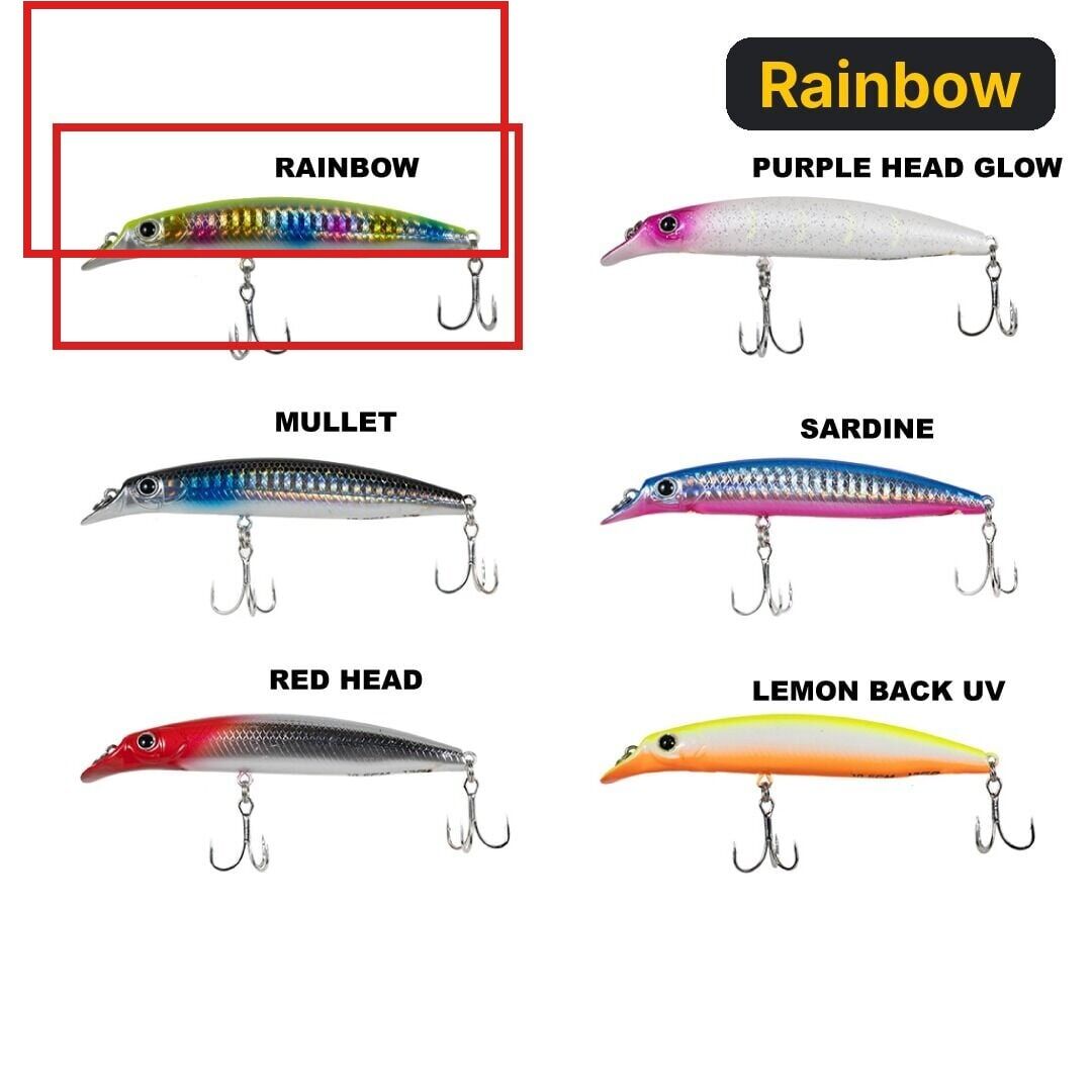 Ryuji Sasume 10.5cm 13gr Maket Balık Rainbow