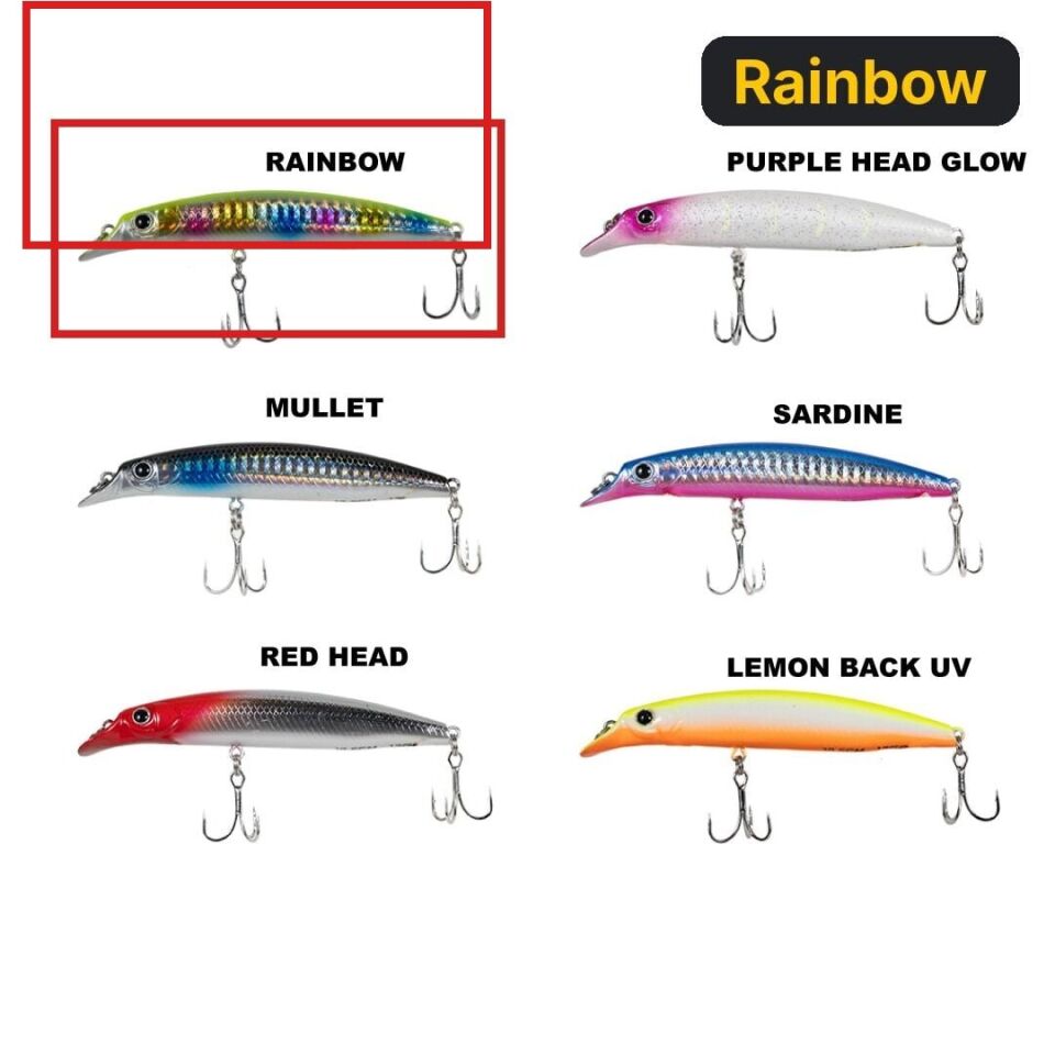 Ryuji Sasume 10.5cm 13gr Maket Balık Rainbow