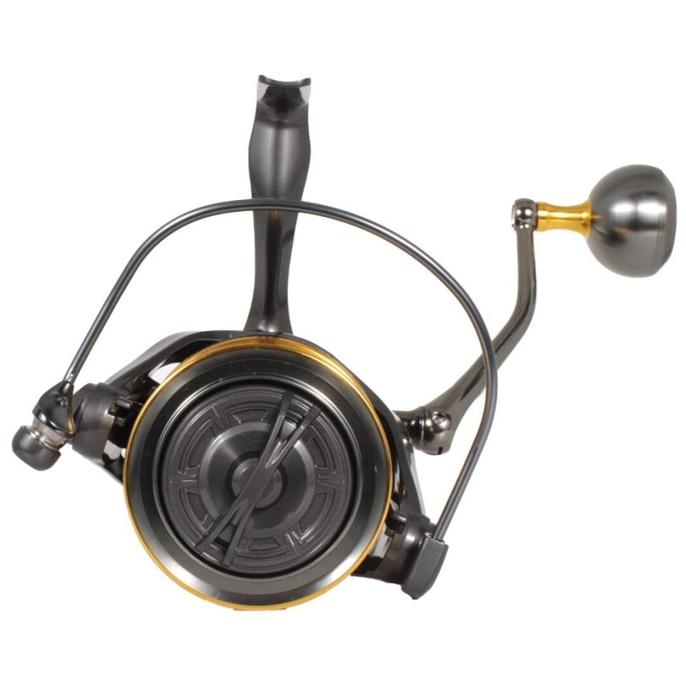 Ryuji Momentum 10000 Grey Gold 11+1BB Surf Makara