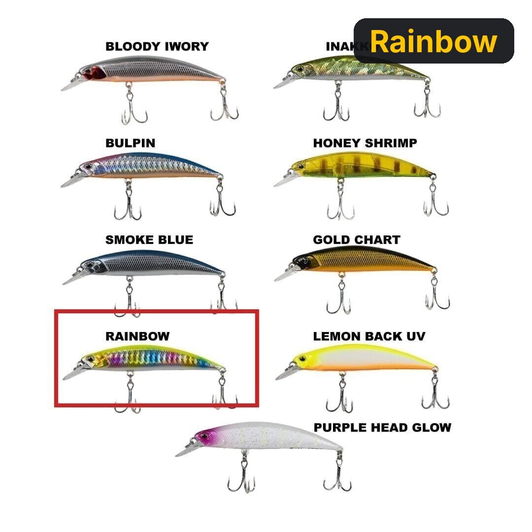 Ryuji Faster 8cm, 13gr Maket Balık Rainbow
