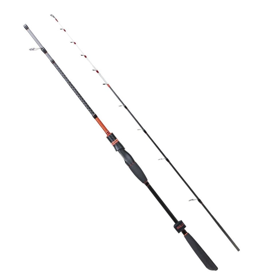 Ryuji Spectra 2.00m 40-180gr 2P Bot Kamışı