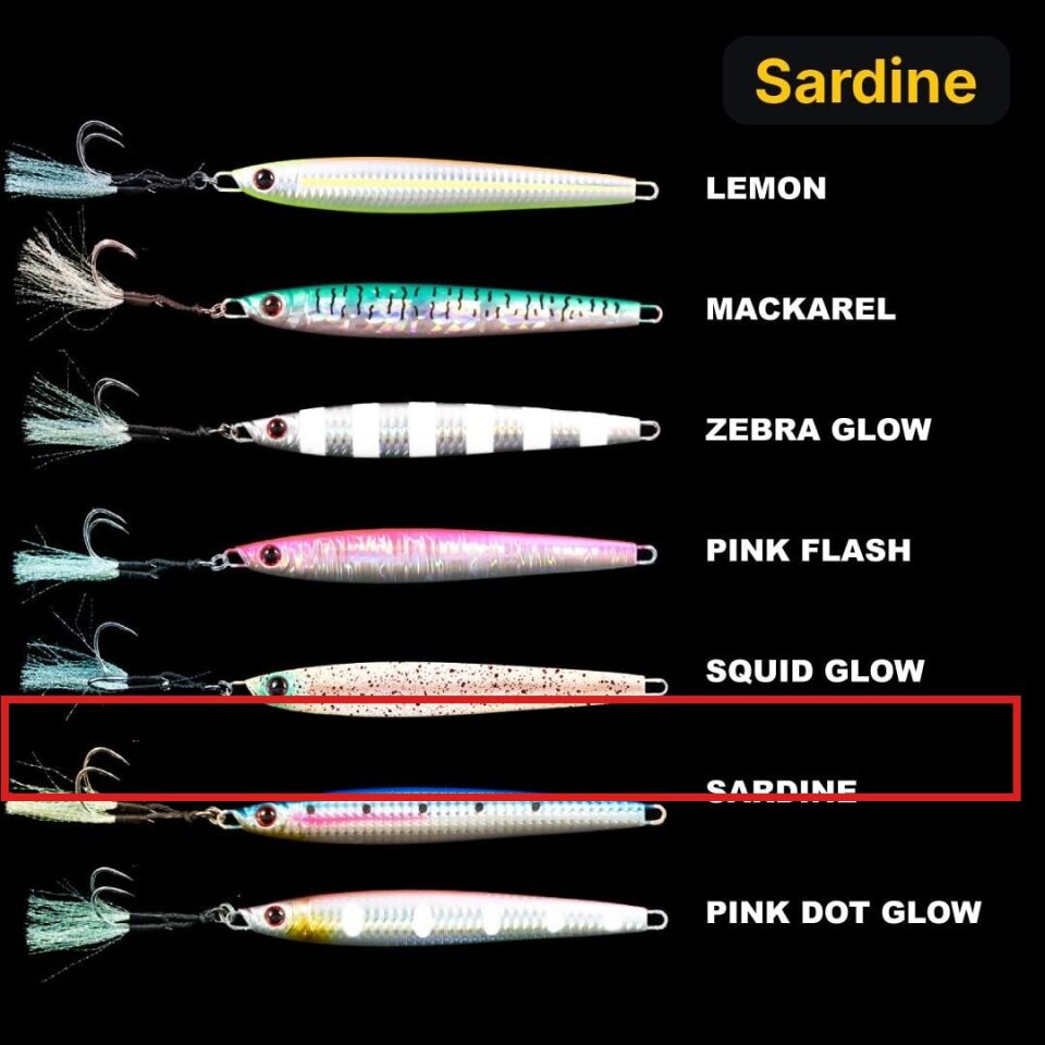Ryuji Salty Jig 160gr Metal Yem Sardine
