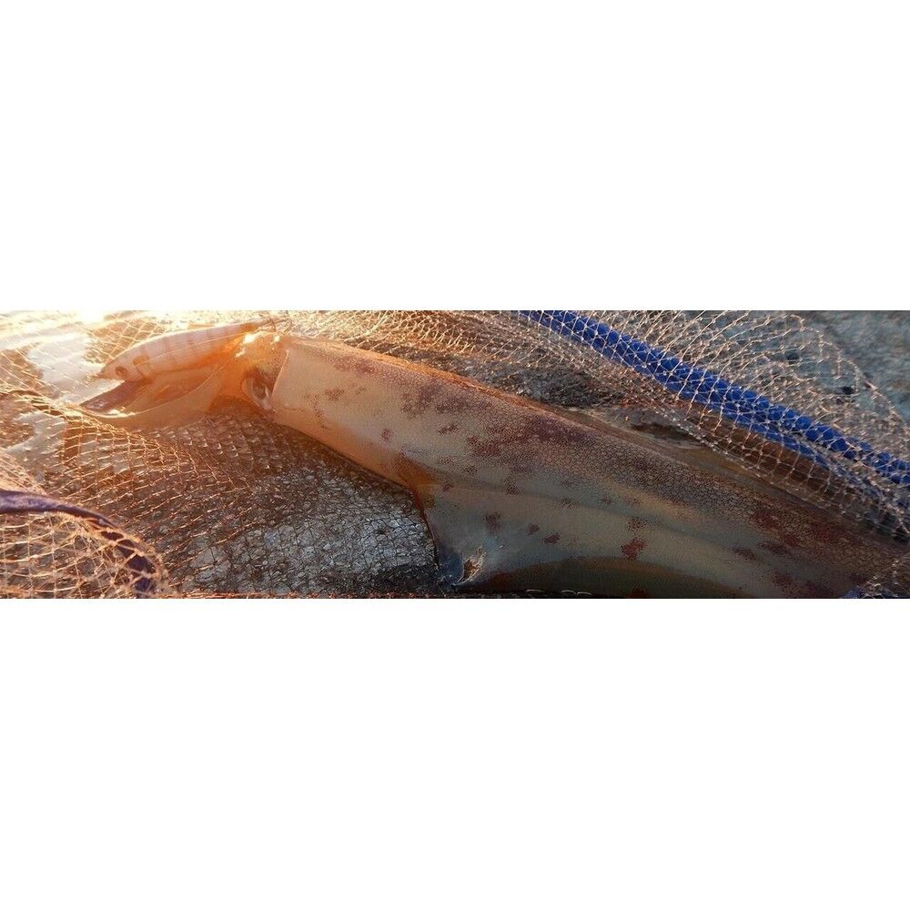 DTD Ballistic Real Fish 3.0B Squid Jig 90 mm 14.5 gr Kalamar Zokası