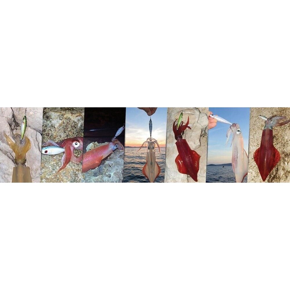 DTD Ballistic Real Fish 3.0B Squid Jig 90 mm 14.5 gr Kalamar Zokası