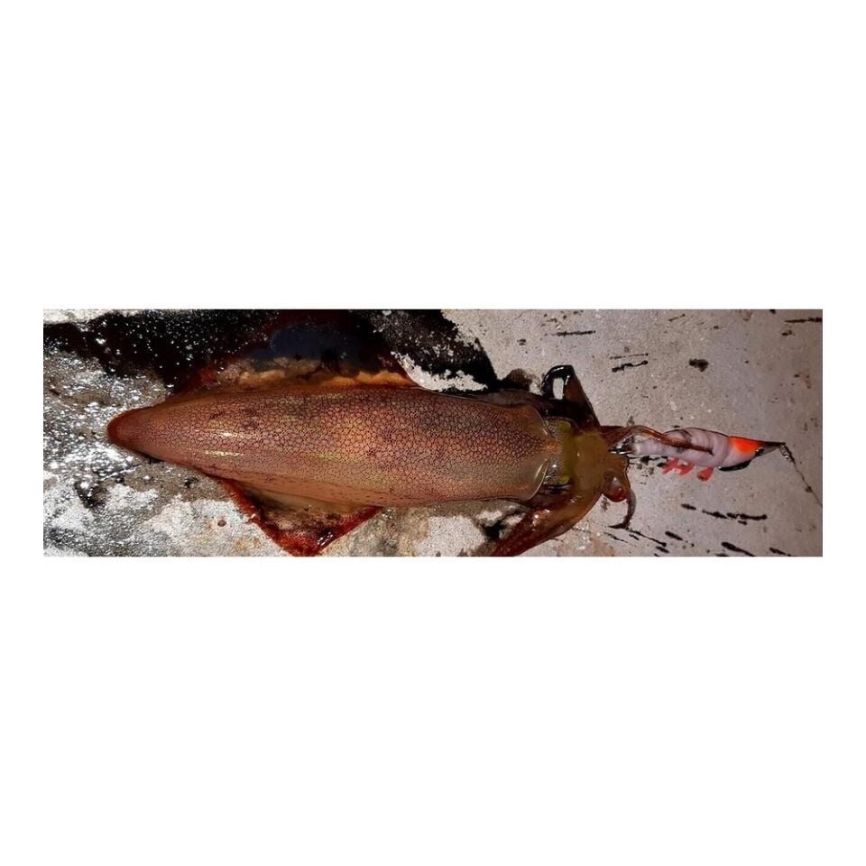 DTD Red Shrimp 3.0 Red Glow Sinking Speed 90 mm 14.3 gr Kalamar Zokası RED