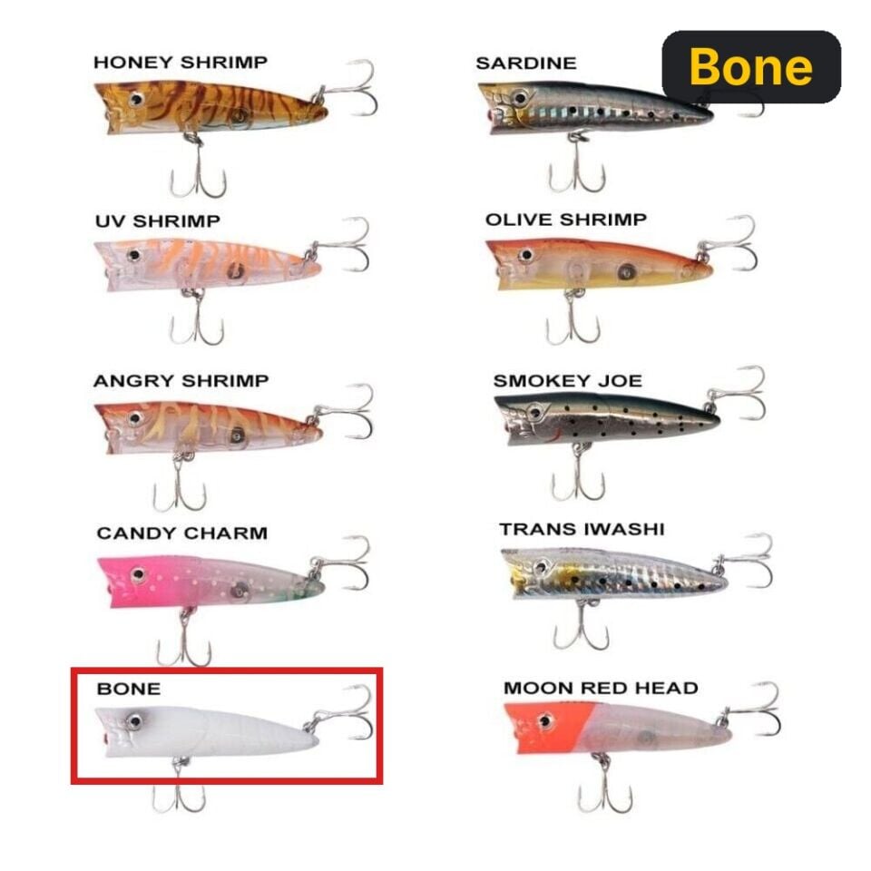 Ryuji Sea Popper 7cm 8.5gr Top Water Maket Yem Bone