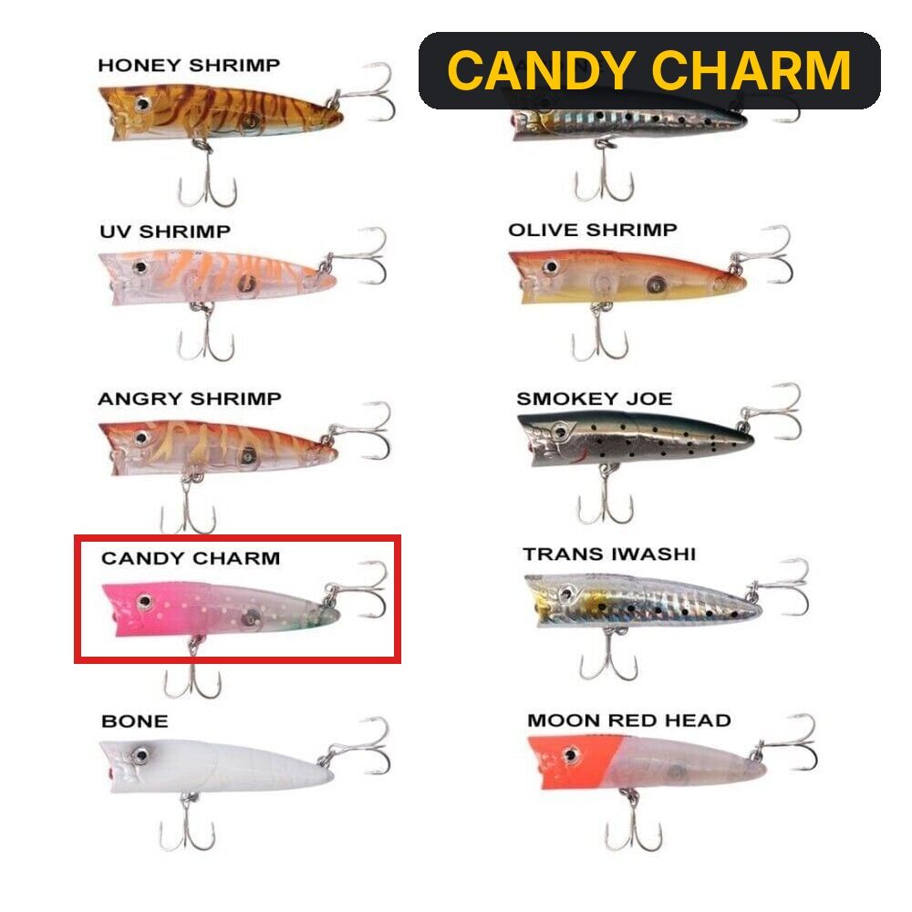 Ryuji Sea Popper 7cm 8.5gr Top Water Maket Yem CANDY CHARM