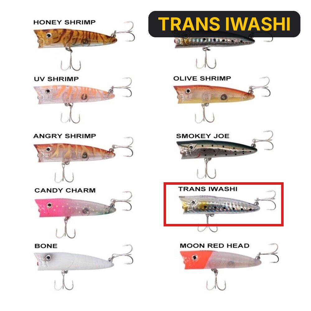 Ryuji Sea Popper 7cm 8.5gr Top Water Maket Yem TRANS IWASHI