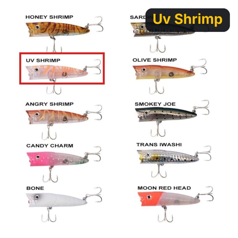 Ryuji Sea Popper 7cm 8.5gr Top Water Maket Yem Uv Shrimp