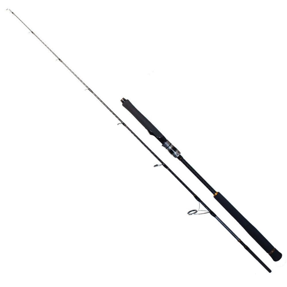 Ryuji Seawolf 1.98M 30-150GR 2P Jig Kamışı