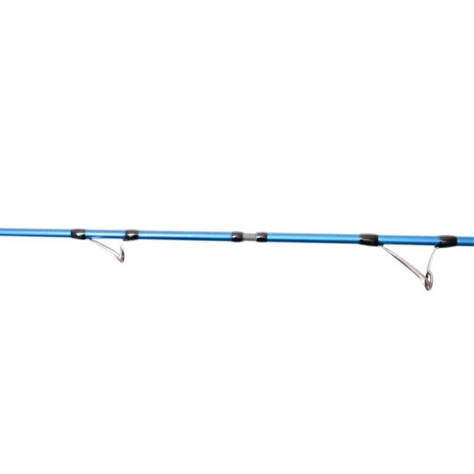 Ryuji Shore Game Fuji 2.95m 30-100gr 2P Shore Jig Kamış