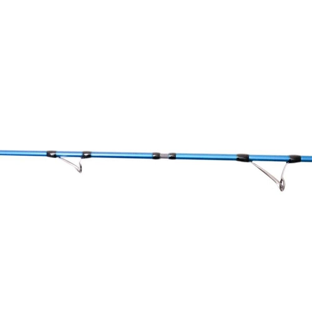 Ryuji Shore Game Fuji 2.95m 30-100gr 2P Shore Jig Kamış
